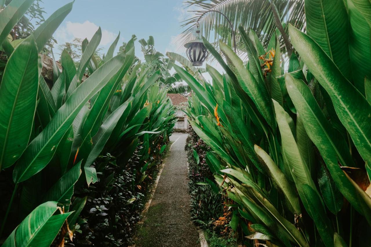 Anggira Villa Ubud Екстериор снимка